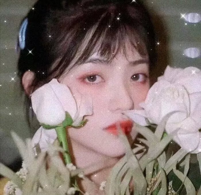 大家的歌 海报